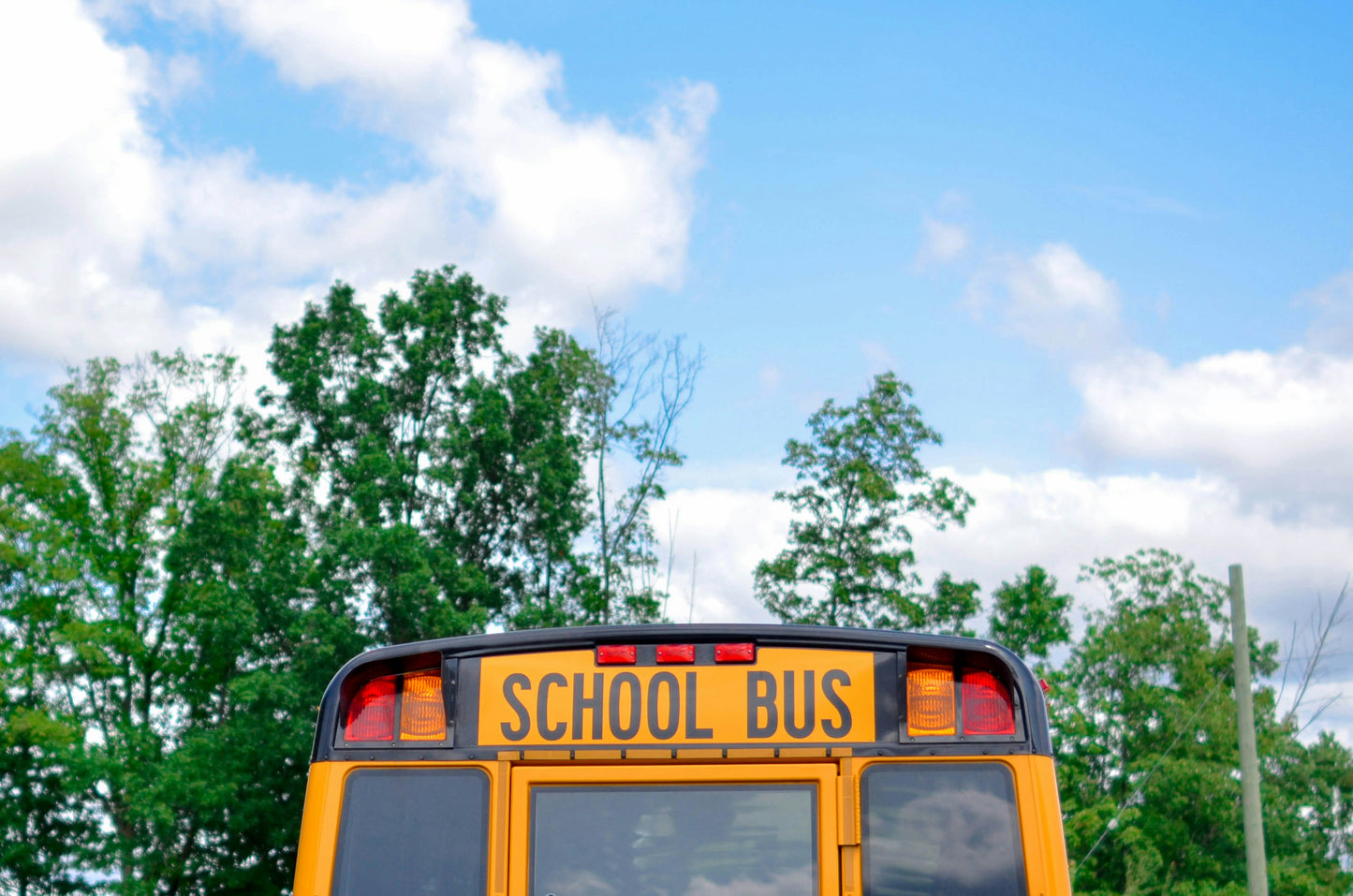 Sparking Joy Through Education.